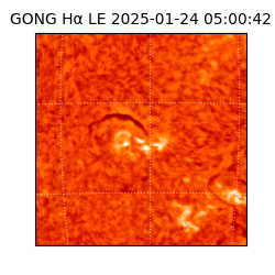 gong - 2025-01-24T05:00:42