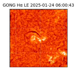 gong - 2025-01-24T06:00:43