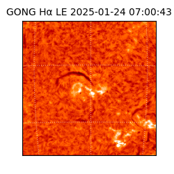 gong - 2025-01-24T07:00:43