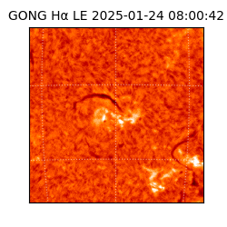 gong - 2025-01-24T08:00:42