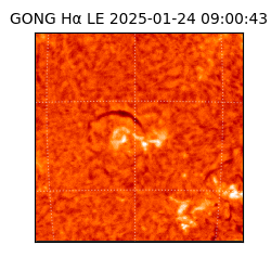 gong - 2025-01-24T09:00:43