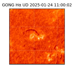 gong - 2025-01-24T11:00:02