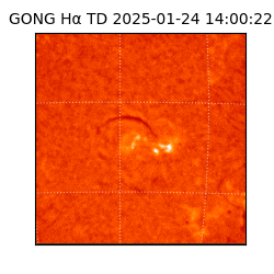 gong - 2025-01-24T14:00:22