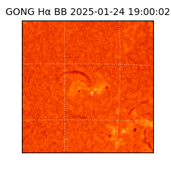 gong - 2025-01-24T19:00:02