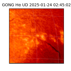 gong - 2025-01-24T02:45:02