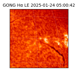 gong - 2025-01-24T05:00:42