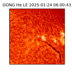 gong - 2025-01-24T06:00:43