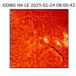 gong - 2025-01-24T08:00:42