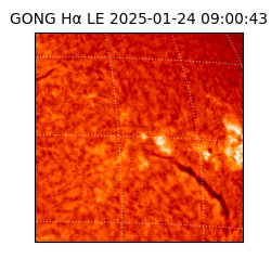 gong - 2025-01-24T09:00:43