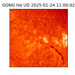 gong - 2025-01-24T11:00:02