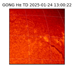 gong - 2025-01-24T13:00:22