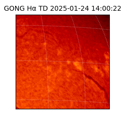 gong - 2025-01-24T14:00:22
