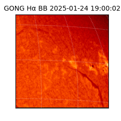 gong - 2025-01-24T19:00:02