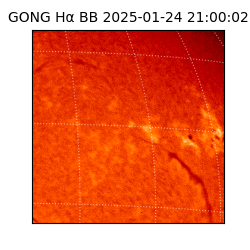 gong - 2025-01-24T21:00:02