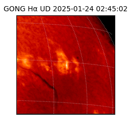 gong - 2025-01-24T02:45:02