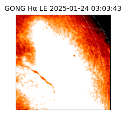 gong - 2025-01-24T03:03:43