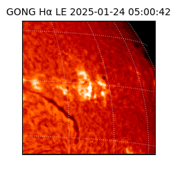 gong - 2025-01-24T05:00:42