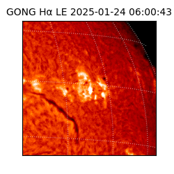 gong - 2025-01-24T06:00:43