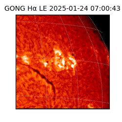 gong - 2025-01-24T07:00:43