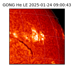 gong - 2025-01-24T09:00:43