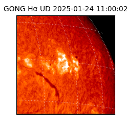 gong - 2025-01-24T11:00:02