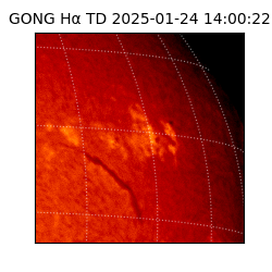 gong - 2025-01-24T14:00:22