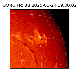 gong - 2025-01-24T19:00:02