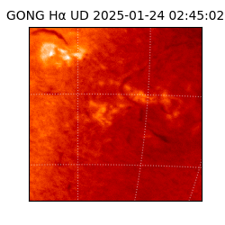 gong - 2025-01-24T02:45:02