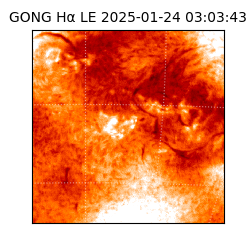 gong - 2025-01-24T03:03:43