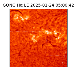 gong - 2025-01-24T05:00:42