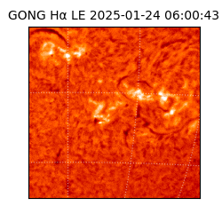 gong - 2025-01-24T06:00:43