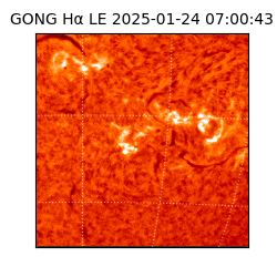 gong - 2025-01-24T07:00:43