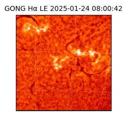 gong - 2025-01-24T08:00:42