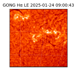 gong - 2025-01-24T09:00:43