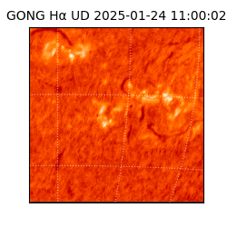 gong - 2025-01-24T11:00:02
