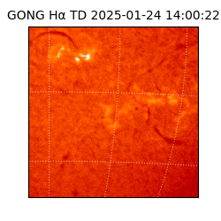 gong - 2025-01-24T14:00:22