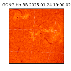 gong - 2025-01-24T19:00:02