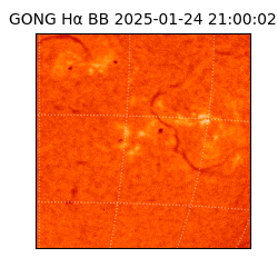 gong - 2025-01-24T21:00:02