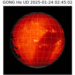gong - 2025-01-24T02:45:02
