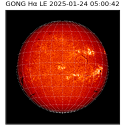 gong - 2025-01-24T05:00:42