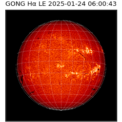 gong - 2025-01-24T06:00:43