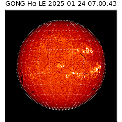 gong - 2025-01-24T07:00:43