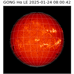 gong - 2025-01-24T08:00:42