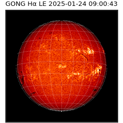 gong - 2025-01-24T09:00:43