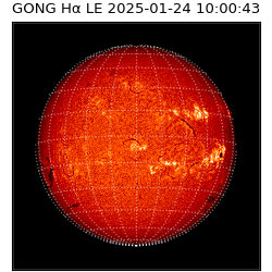 gong - 2025-01-24T10:00:43