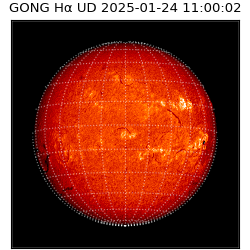 gong - 2025-01-24T11:00:02