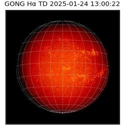 gong - 2025-01-24T13:00:22