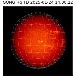 gong - 2025-01-24T14:00:22