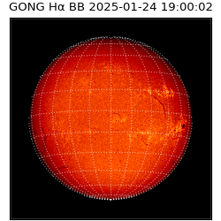 gong - 2025-01-24T19:00:02