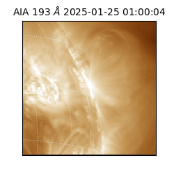 saia - 2025-01-25T01:00:04.843000